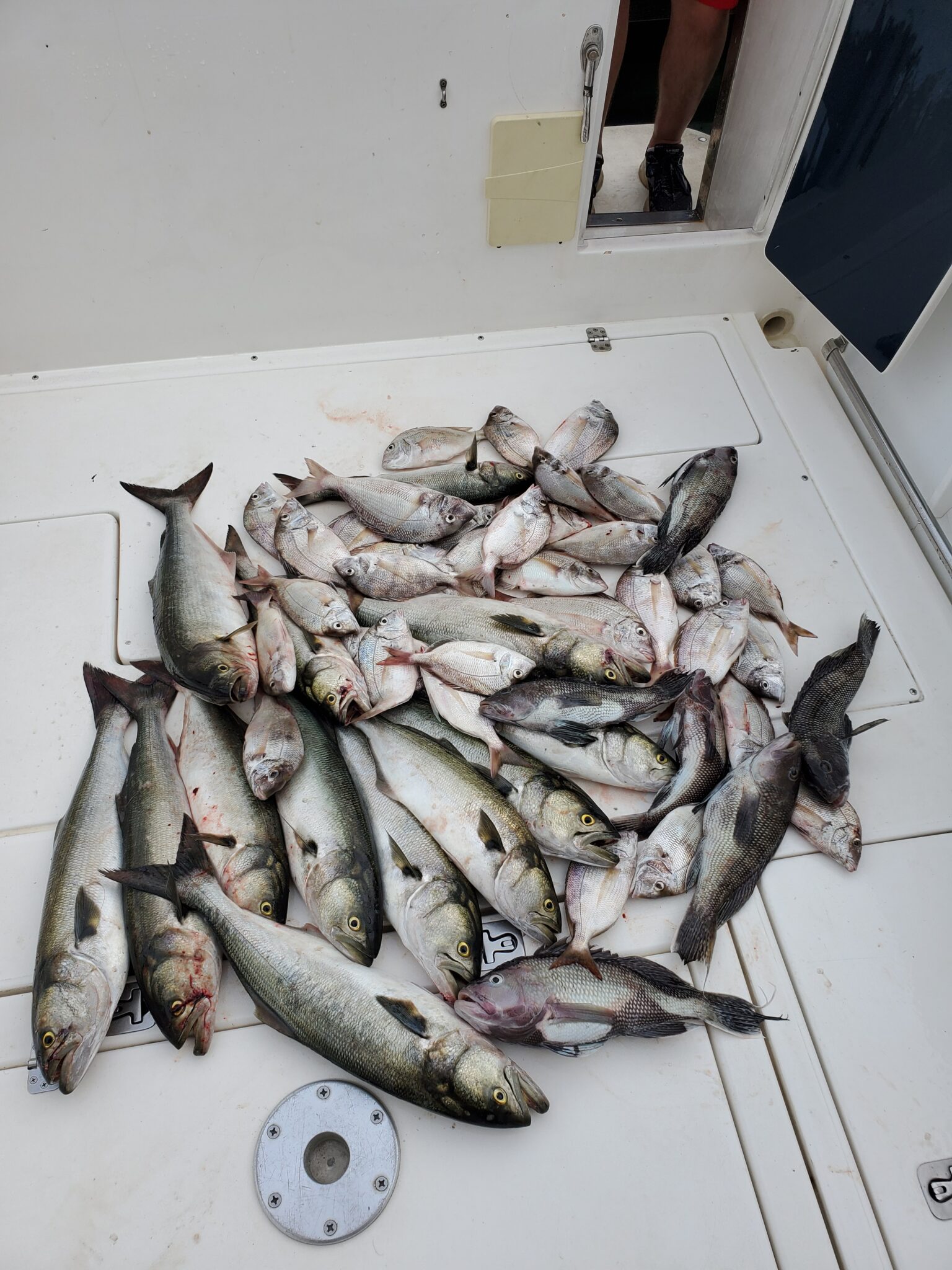 LONG ISLAND FISHING CHARTERS